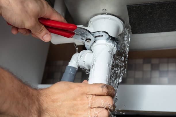 Best Flood damage cleanup  in Lucerne Valley, CA