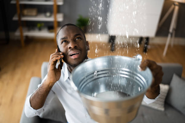 Best Water damage contractors near me  in Lucerne Valley, CA