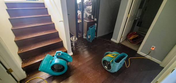 Best Sewage cleanup and water damage restoration  in Lucerne Valley, CA