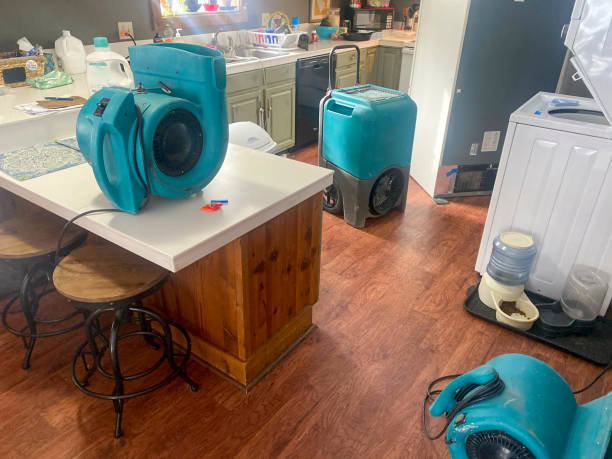 Best Mold removal after water damage  in Lucerne Valley, CA