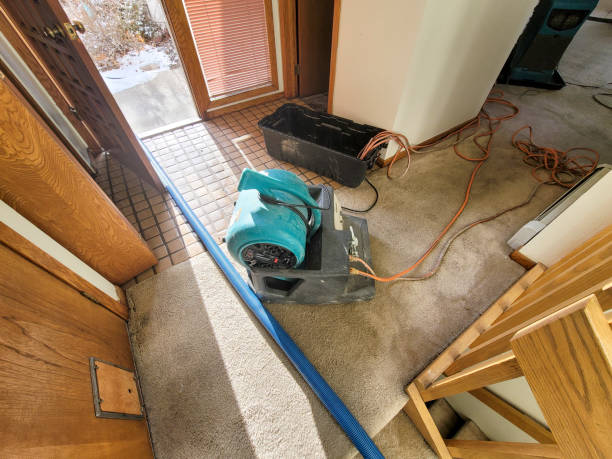 Best Fire Damage Restoration  in Lucerne Valley, CA