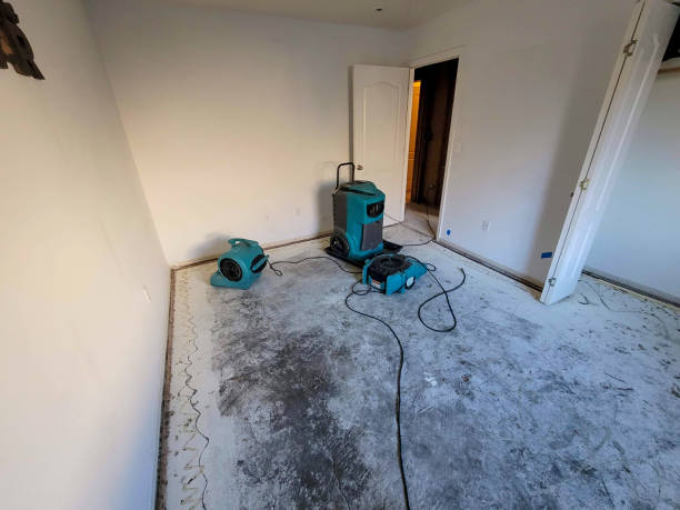 Best Basement water damage restoration  in Lucerne Valley, CA