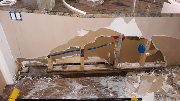 Best Water damage cleanup near me  in Lucerne Valley, CA