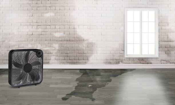 Best Residential water damage restoration  in Lucerne Valley, CA