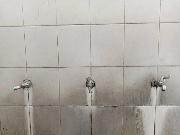 Best Water damage restoration services  in Lucerne Valley, CA