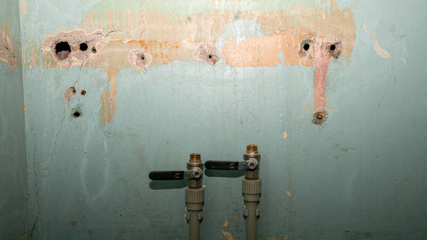 Best Flood restoration services  in Lucerne Valley, CA