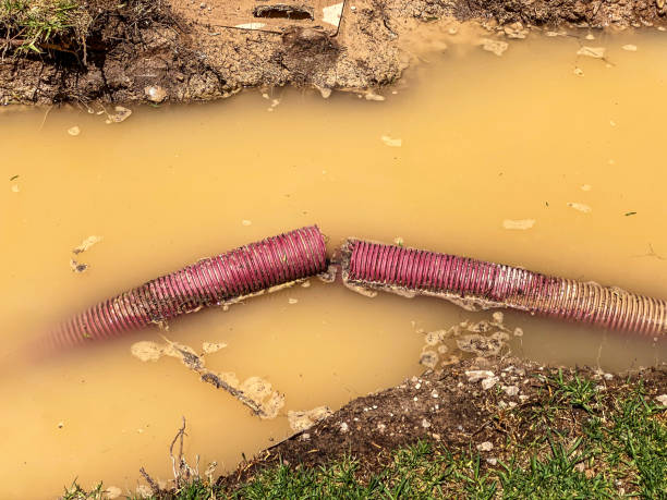 Best Sewage cleanup and water damage restoration  in Lucerne Valley, CA