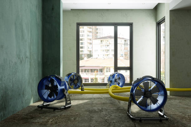Best Carpet water damage restoration  in Lucerne Valley, CA
