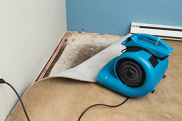Best Flood restoration services  in Lucerne Valley, CA
