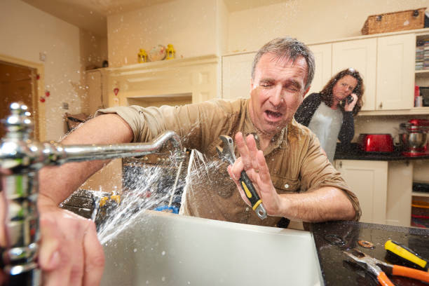 Best Professional water damage repair  in Lucerne Valley, CA
